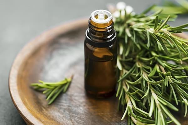 تصویر 4 از خرید اسانس طبیعی رزماری + قیمت فروش استثنایی